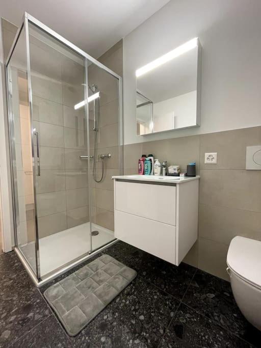Five Stars Comfort Apartment Lugano Near The Lake 외부 사진