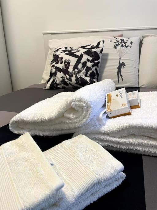 Five Stars Comfort Apartment Lugano Near The Lake 외부 사진