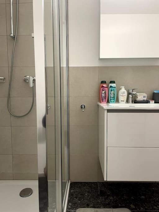 Five Stars Comfort Apartment Lugano Near The Lake 외부 사진
